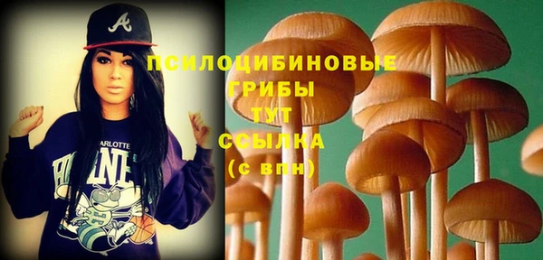 не бодяженный Абдулино